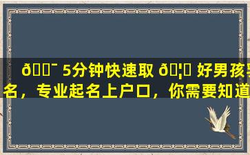 🐯 5分钟快速取 🦄 好男孩乳名，专业起名上户口，你需要知道的一切！